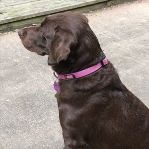 Meet your Posher, Anne